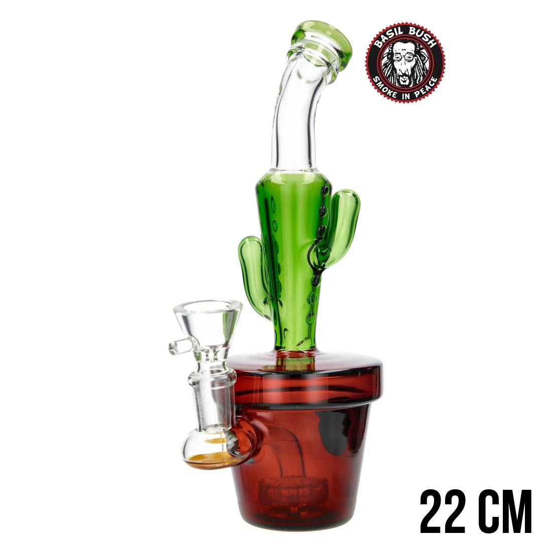 BANG EN VERRE BASIL BUSH CACTUS 22CM