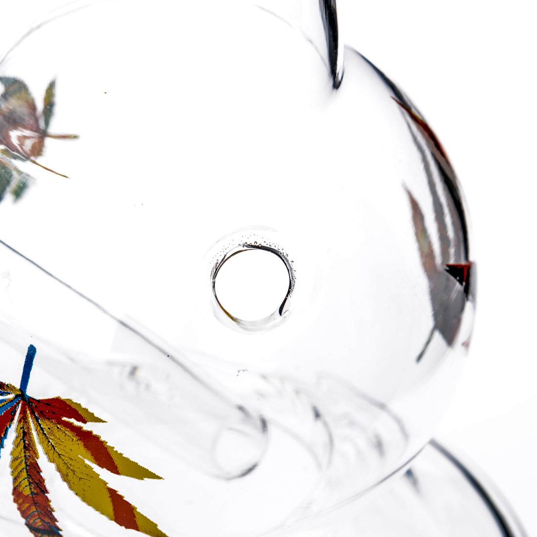 BANG EN VERRE MULTILEAF BOUNCER