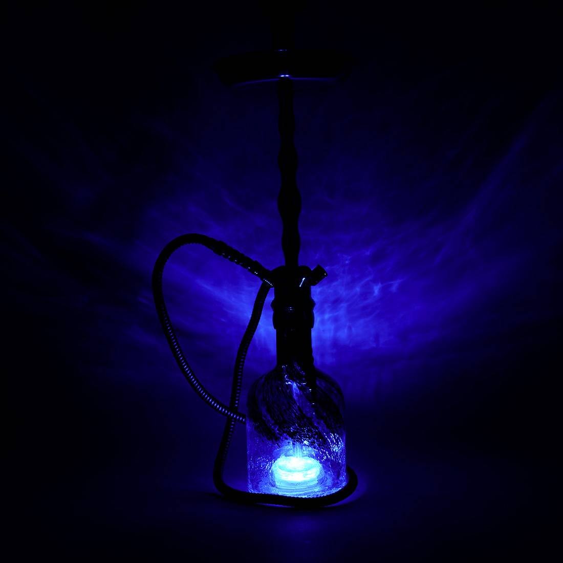 base led chicha