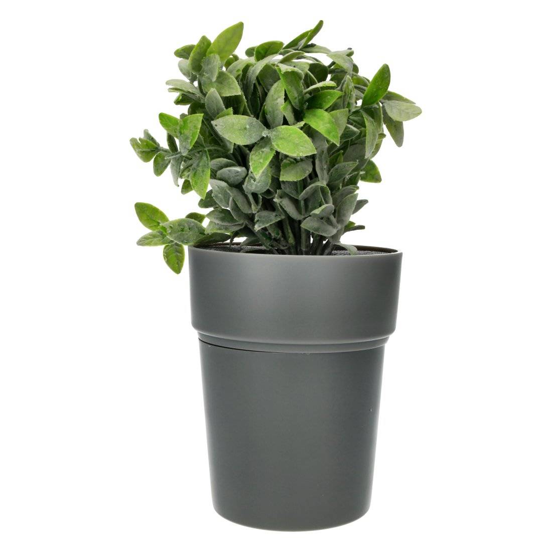 CACHETTE POT DE FLEUR BUDDIES