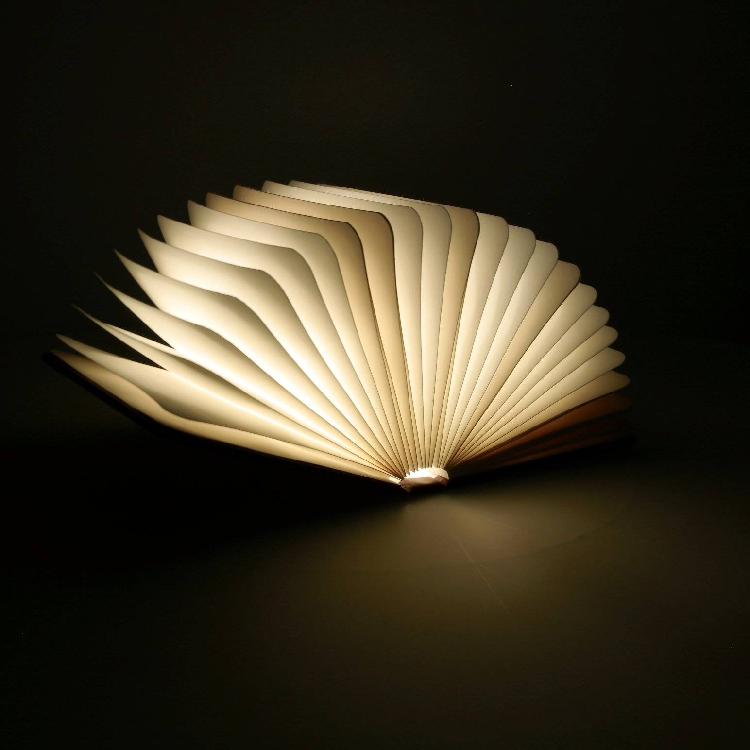 LAMPE AMBIANCE LED LIVRE 16X13CM