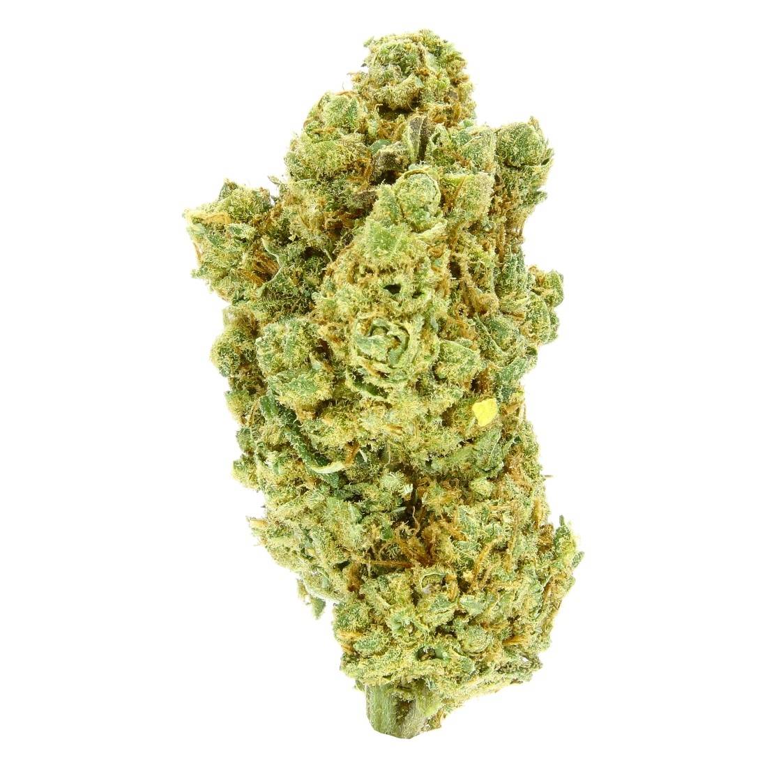 Fleur de CBD Woobee V+ Hydro Indoor 10G