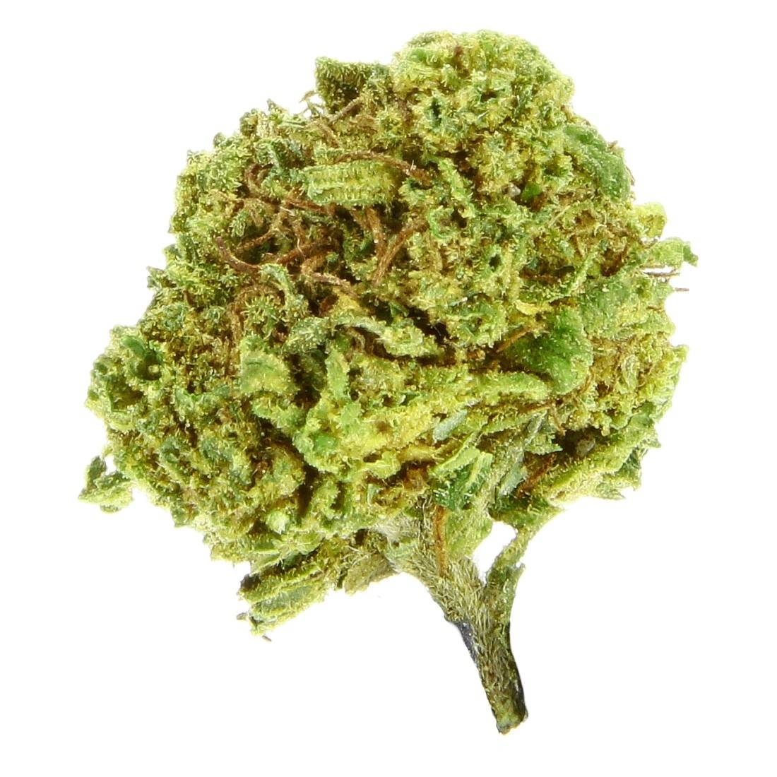 Fleur de CBD Woobee BZ1 Small Buds GH X50