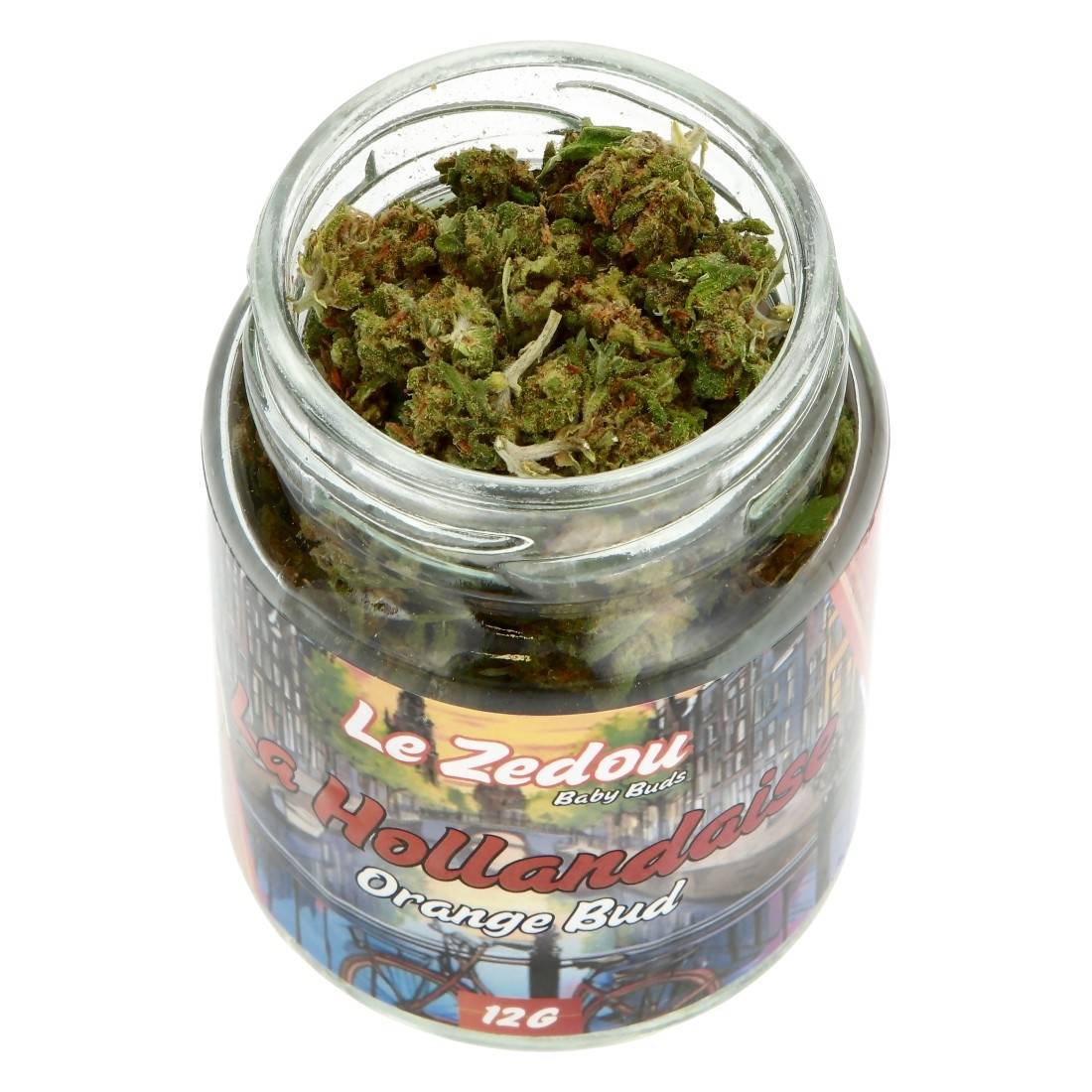 Fleurs de CBD Le Zedou La Hollandaise Orange Bud 12g
