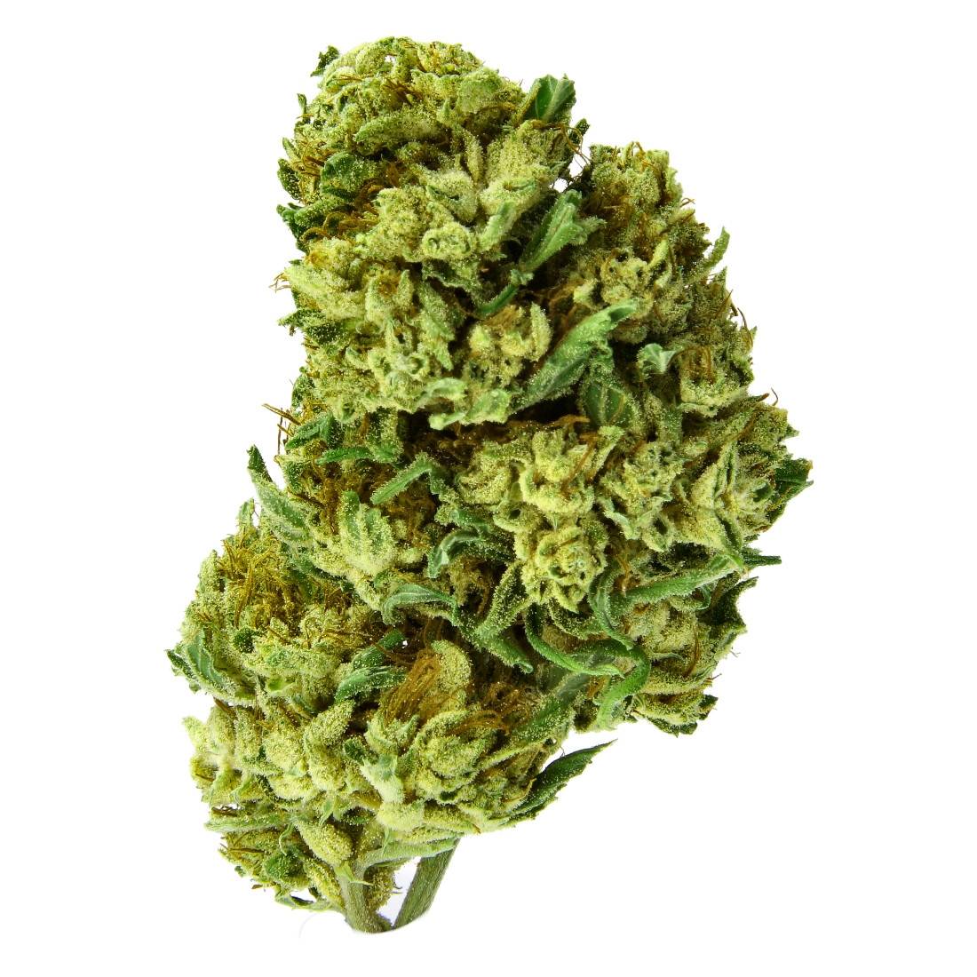 Fleur de CBD  BANANA CREAM 5G