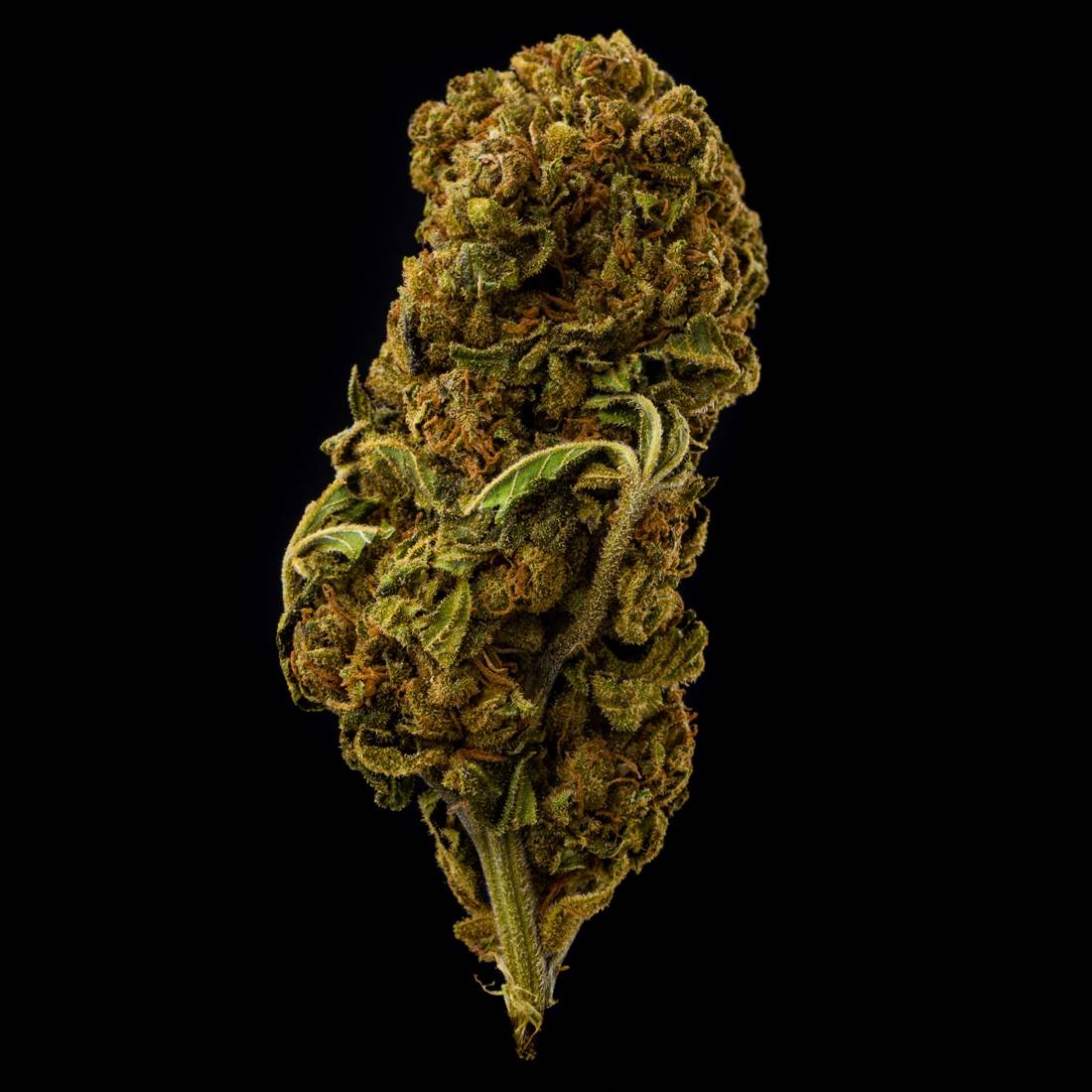 Fleur de CBD