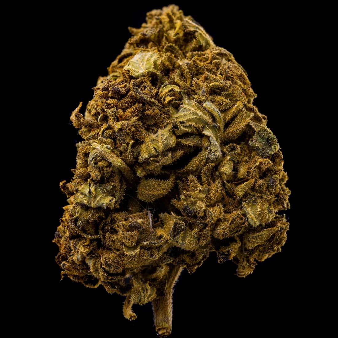 Fleur de CBD