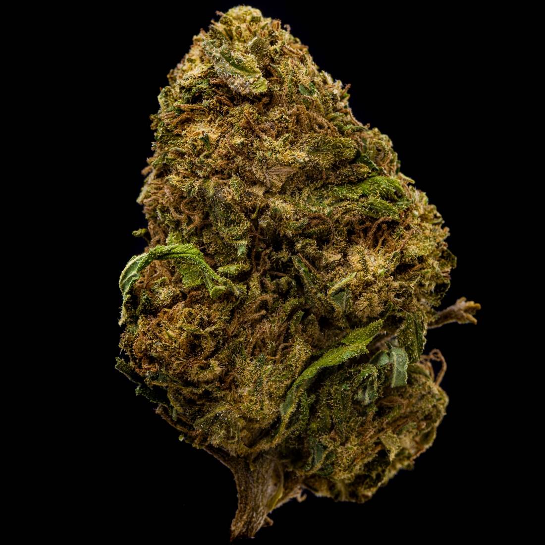 Fleur de CBD
