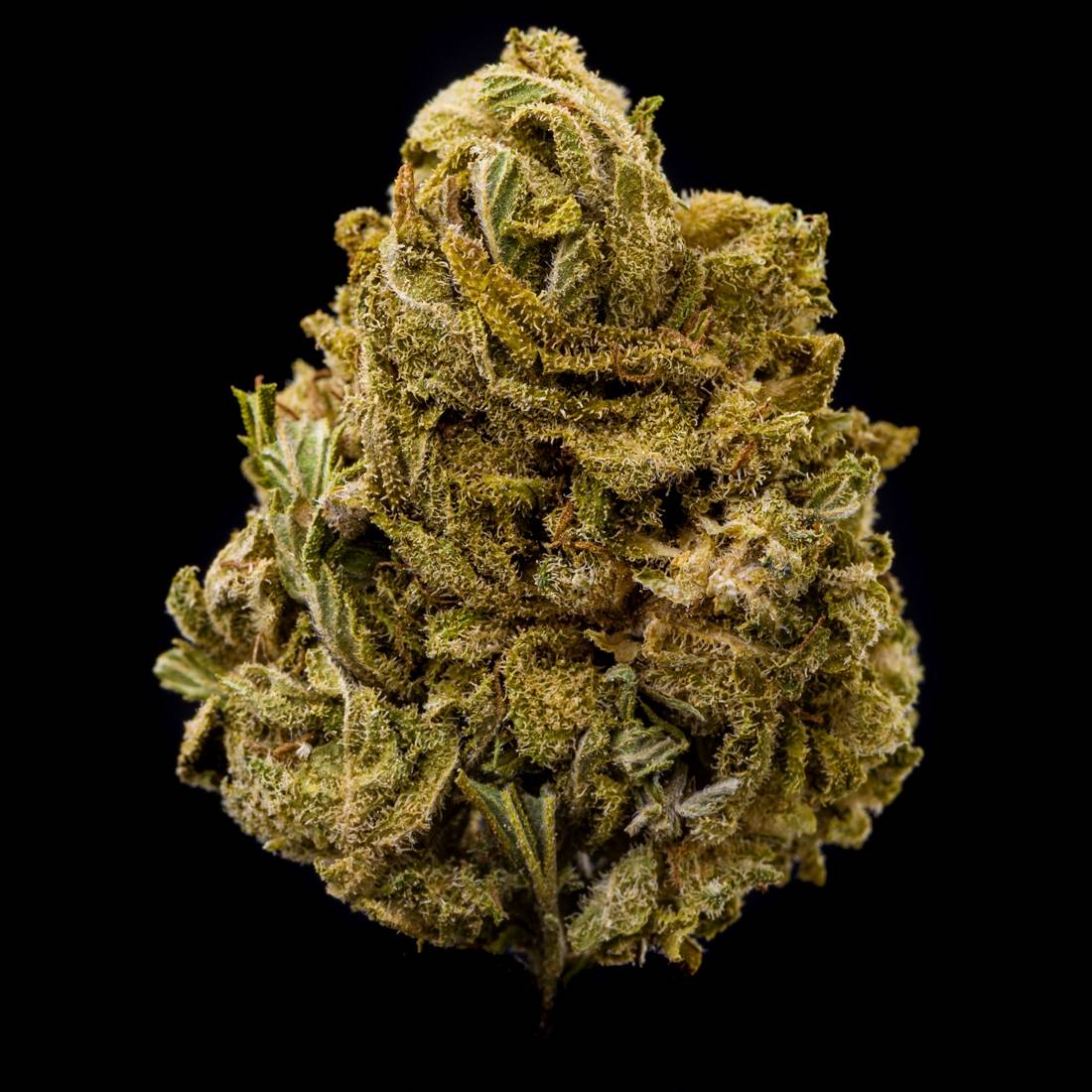 Fleur de CBD