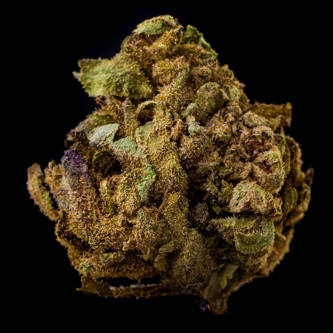 Fleur de CBD