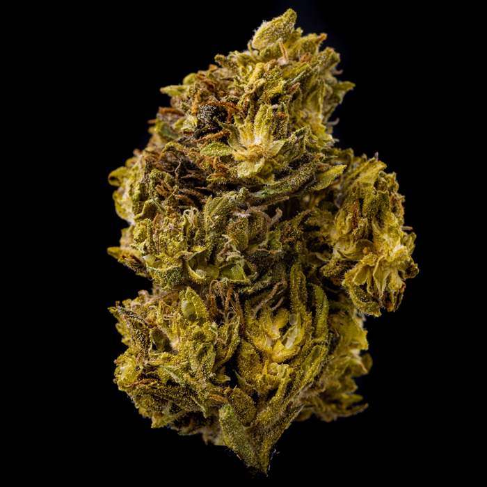 Tengrams Fleur de CBD
