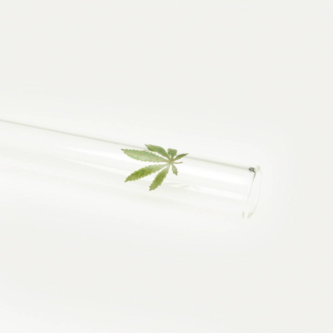 PIPE EN VERRE STRAIGHT LEAF