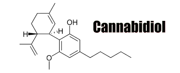 CBD