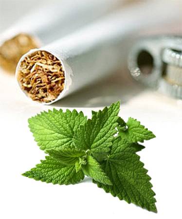 cigarette menthol france